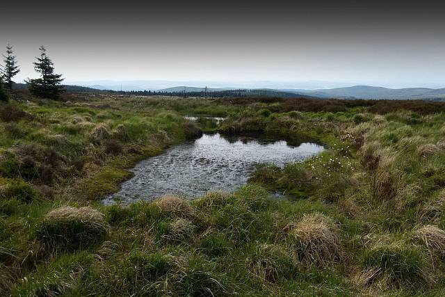 Dopadová plocha Tok