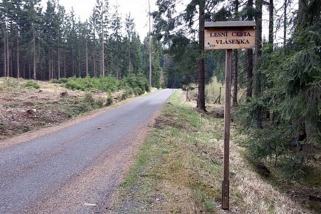 Cesta Vlásenka