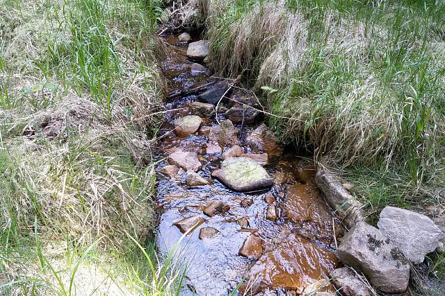 Potůček pod vrchem Třemošná