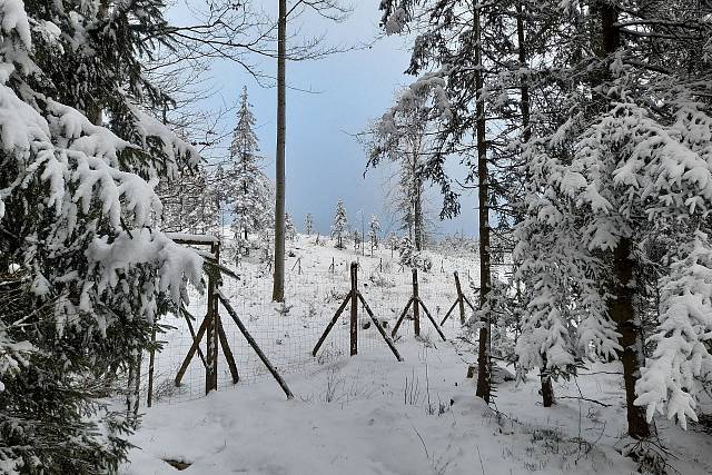 Další sněhová nadílka v Brdech