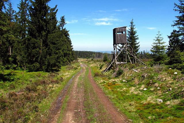 Požární cesta na Toku