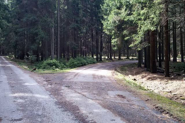 Křižovatka Y u Uhlířské studánky