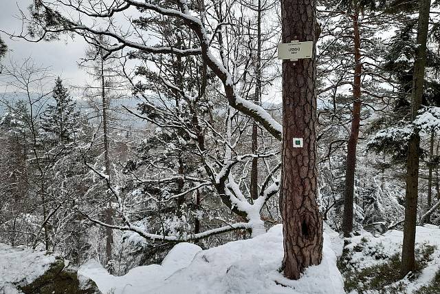 Další sněhová nadílka v Brdech