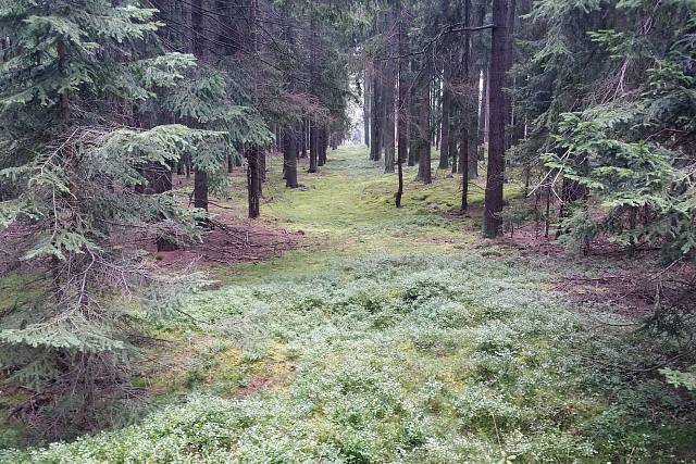 Dráha pod Bílou skálou