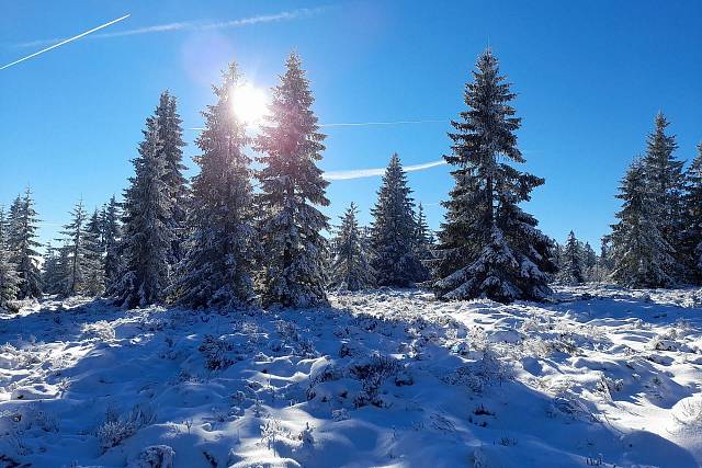 Zasněžený Tok s azurovou oblohou