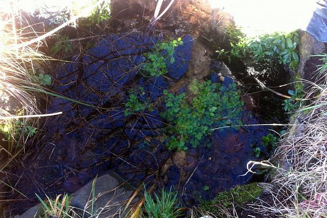 Studánka v Zadní Záběhlé