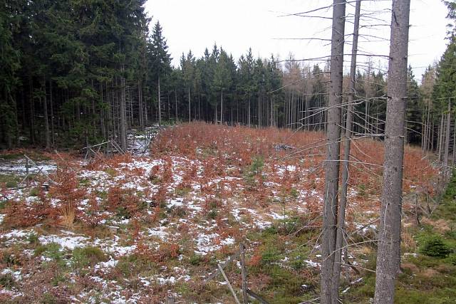 Místo nehody letounu L-159