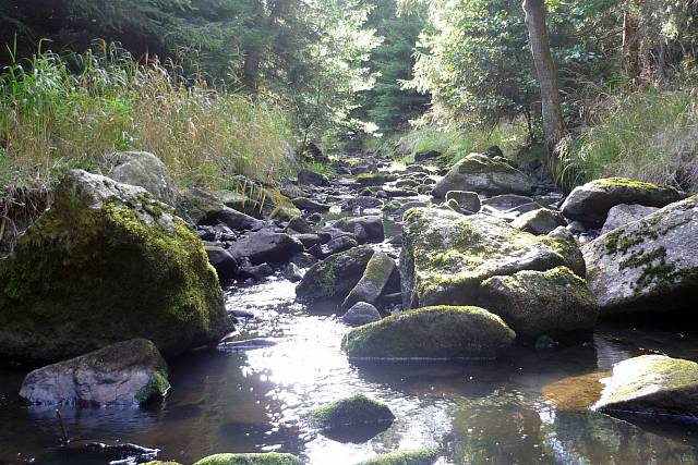 Padrťský potok (Klabava)