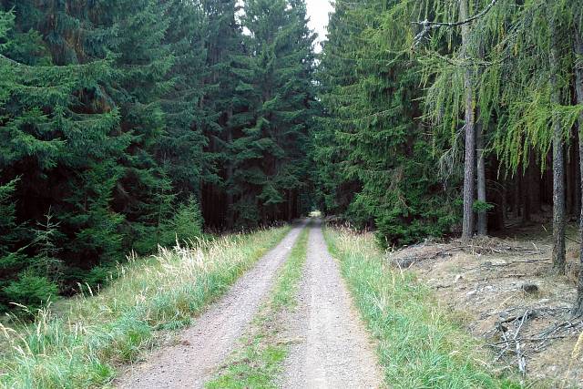 Cesta Pod Koníčkem