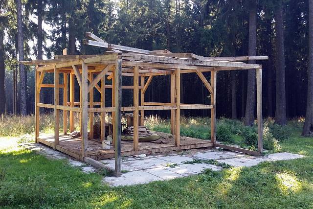 Seník Cervus elaphus