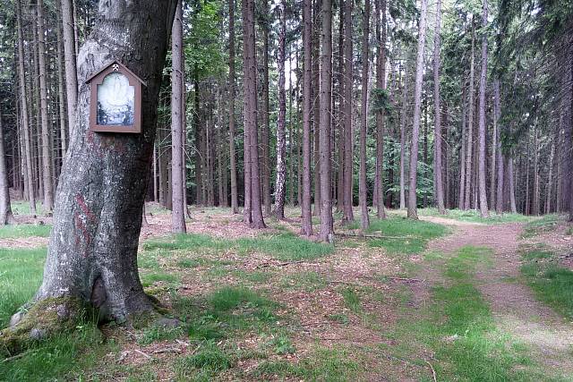 Obrázek u Malé Třemošné