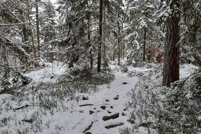 Další sněhová nadílka v Brdech