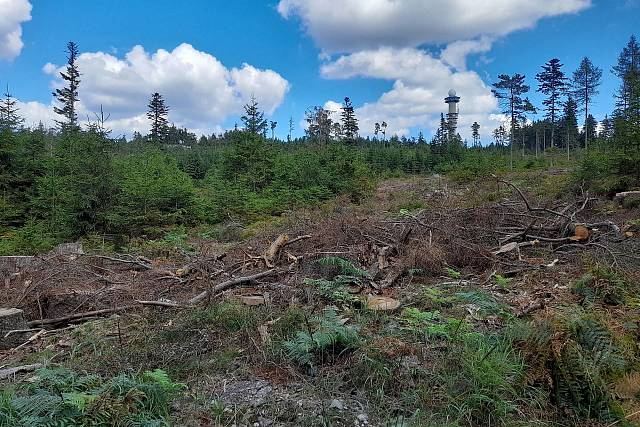 Vrch Praha v Brdech má nové výhledy