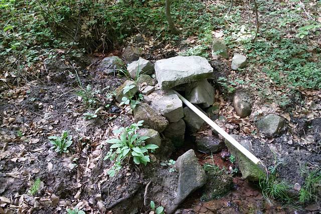 Studánka Pod skořickou loukou
