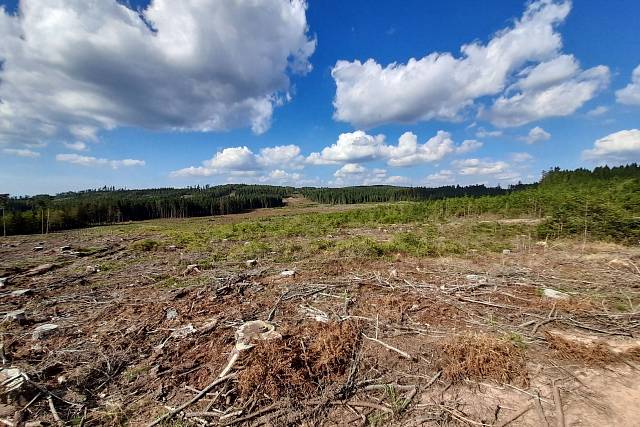 Vrch Praha v Brdech má nové výhledy