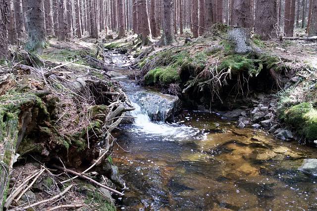 Třítrubecký potok