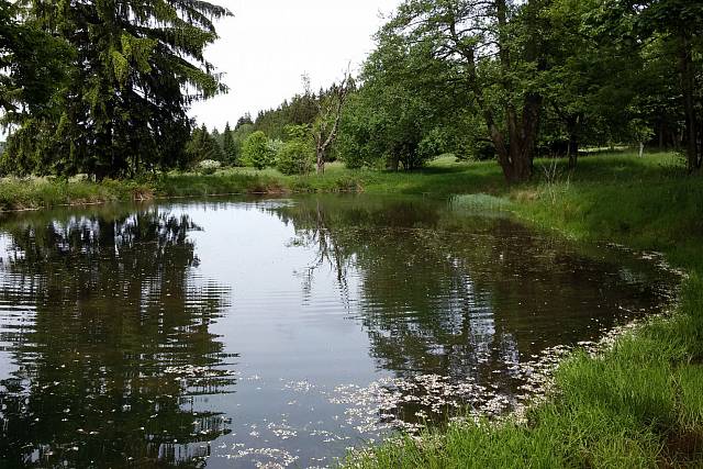 Rybníček v Přední Záběhlé