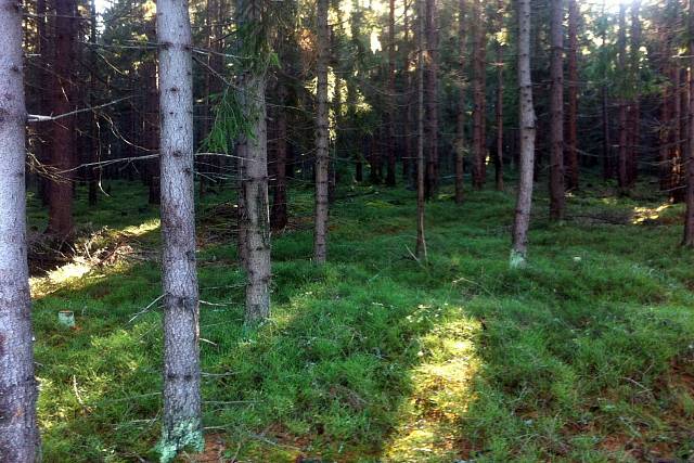 U Ležatého mezníku