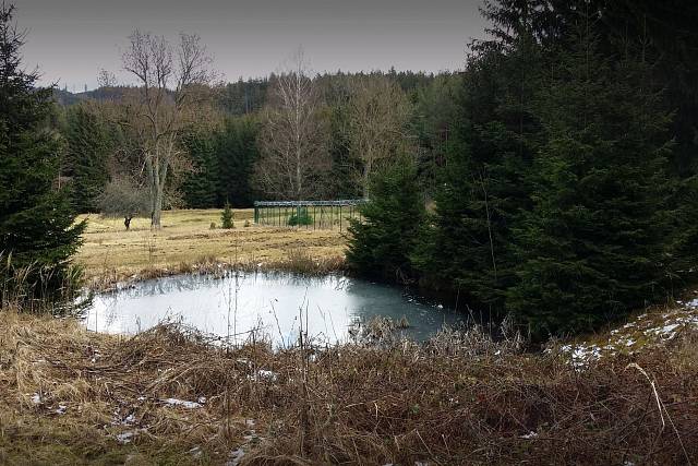 Rybníček na třítrubecké louce