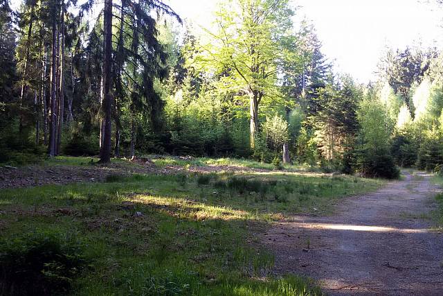 Ženijní muniční sklad nad Dubskou loukou