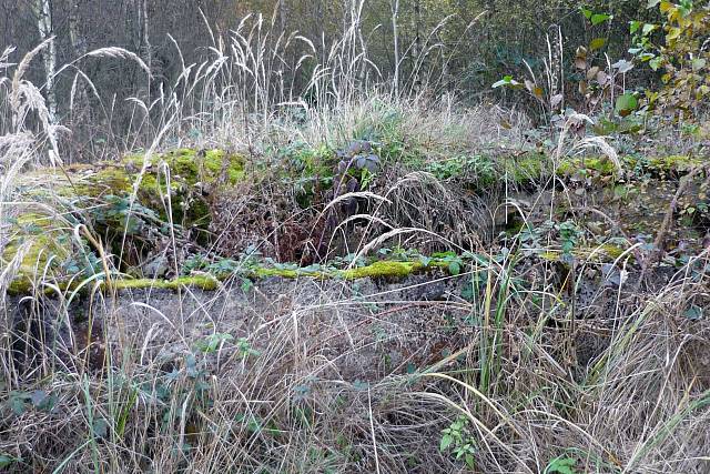 Bahna - Lehké opevnění vzor 36