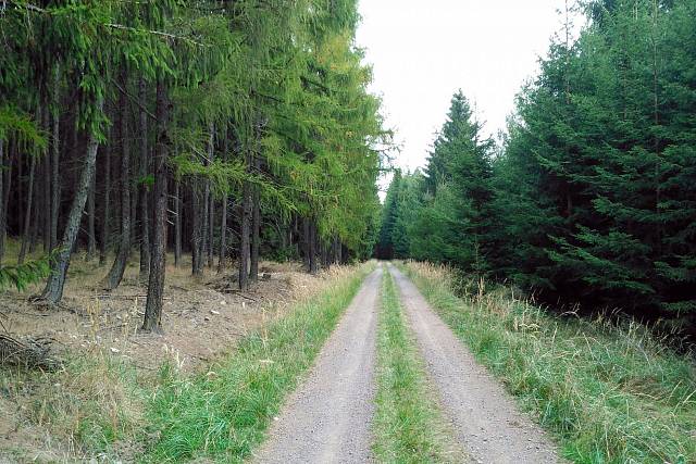 Cesta Pod Koníčkem