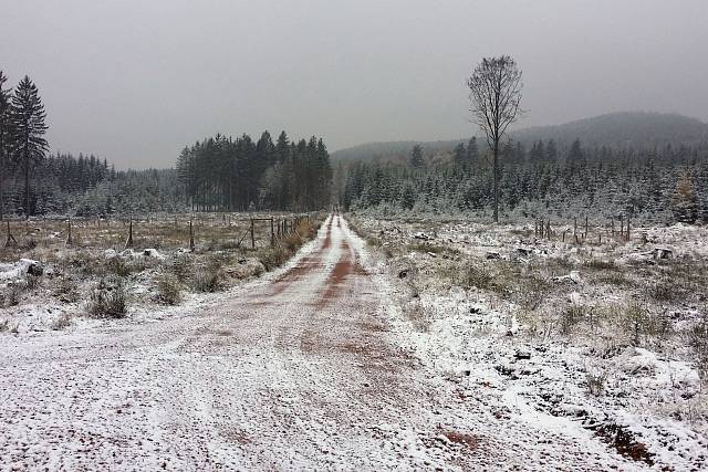 Cesta (Stříbrný kámen - Dobřív)