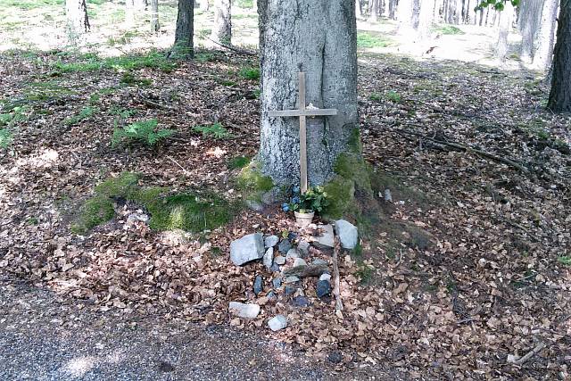 Pomník/Kříž pod Tokem