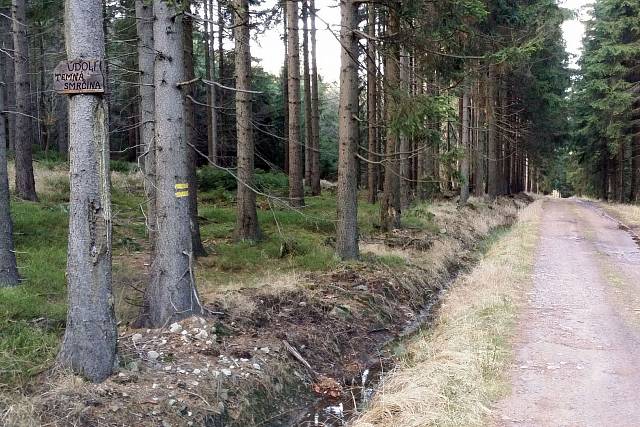 Údolí Temná smrčina