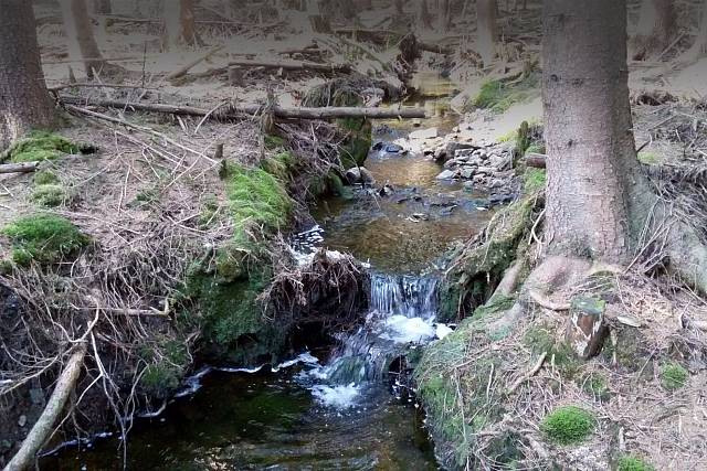 Potok pod Březovým vrchem