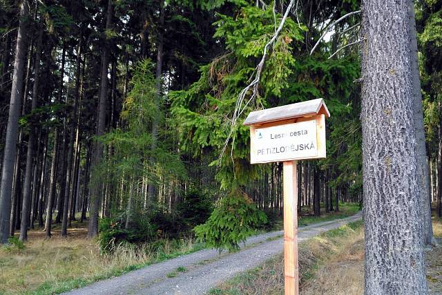 Pětizlodějská cesta