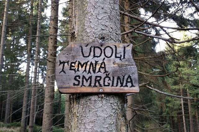 Údolí Temná smrčina