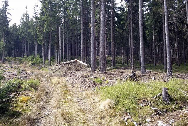 U Knížecí studánky