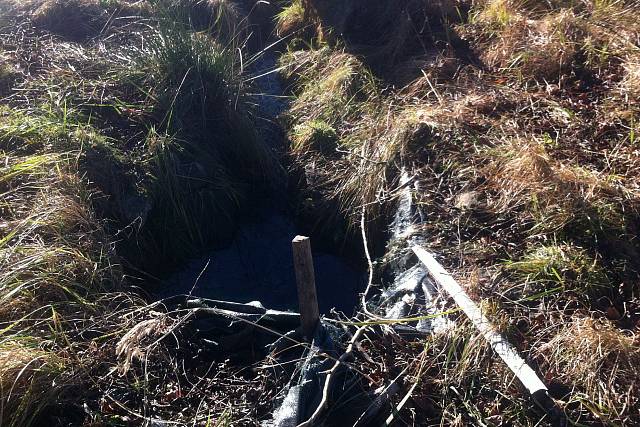 Studánka v Zadní Záběhlé