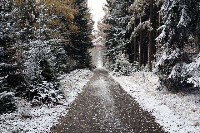 Cesta (V Andělkách - U Vojáka)