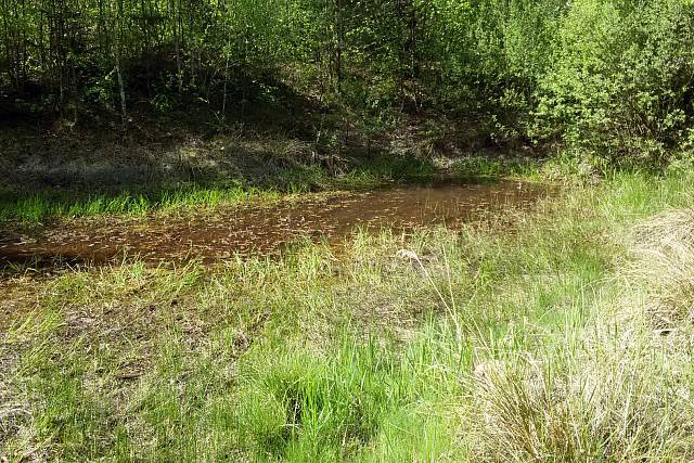 Tůňka u SBV Bahna 1000