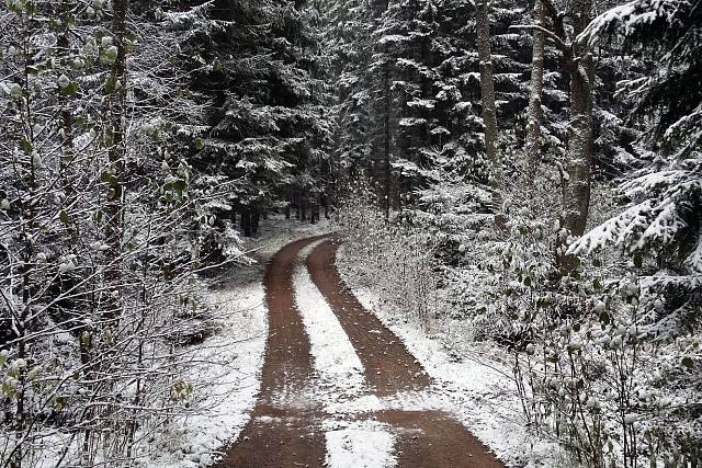 Cesta (Rudolfova studánka - Skořice)