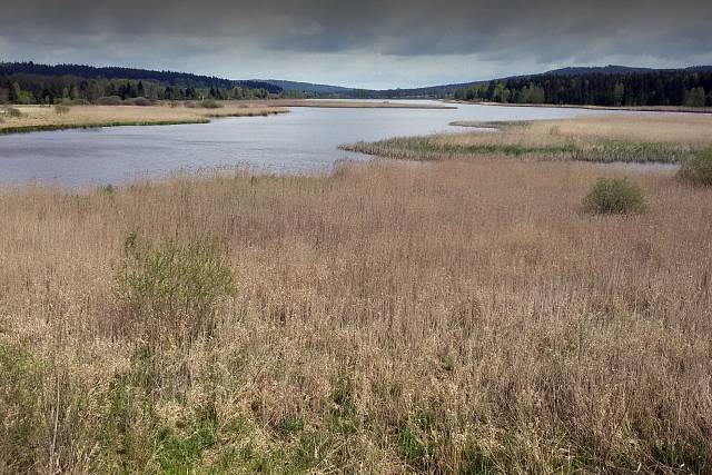 Dolejší Padrťský rybník