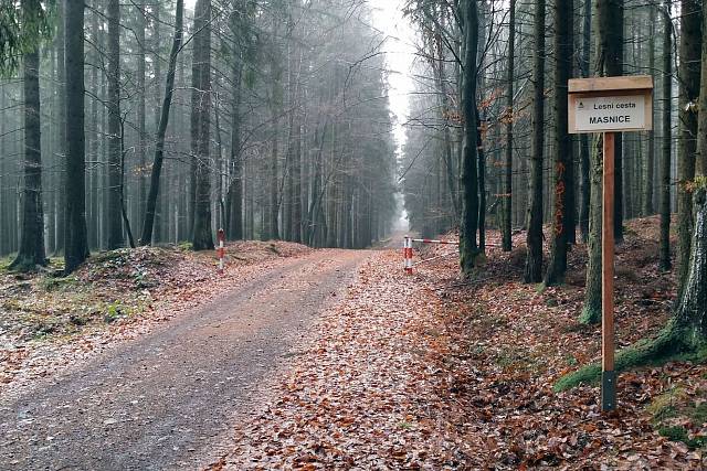 Cesta Masnice
