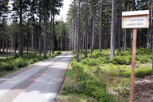 Havelská cesta