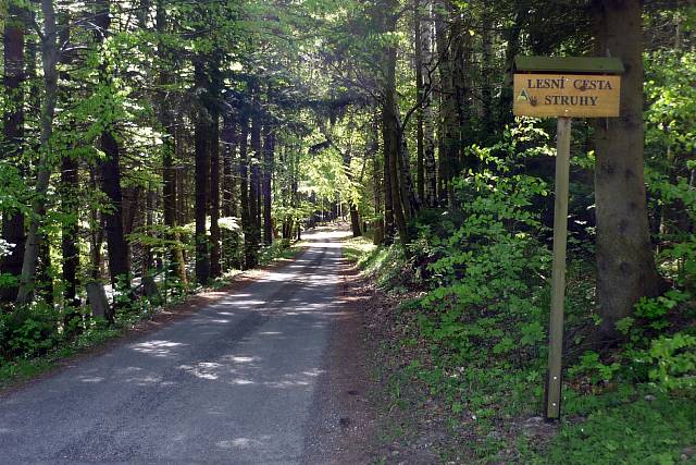 Cesta Struhy
