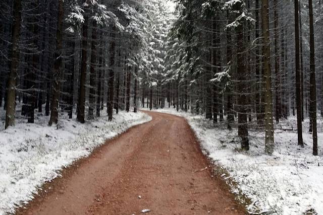 Cesta (Rudolfova studánka - Skořice)