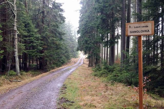 Cesta Ganglovka