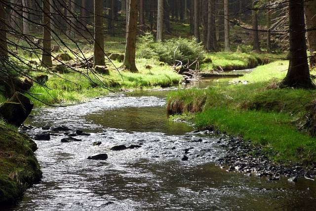 Padrťský potok (Klabava)