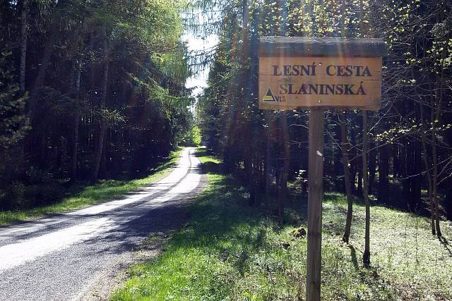 Slaninská cesta