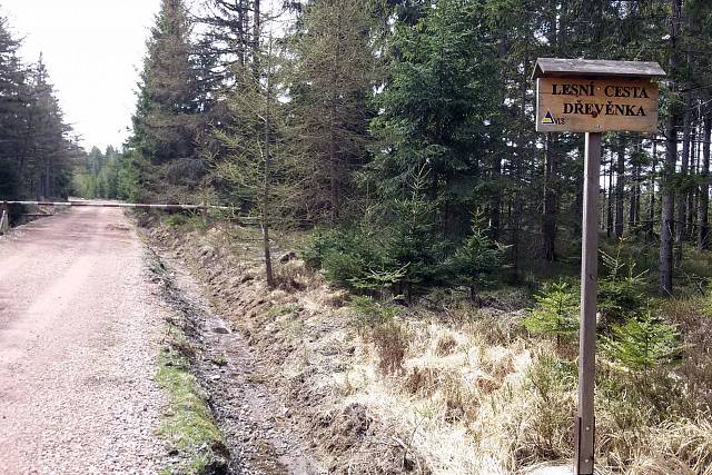 Cesta Dřevěnka