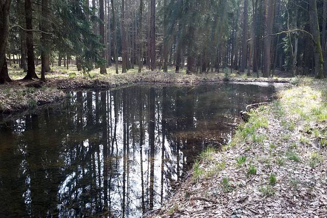 Nádržka u Černé cesty