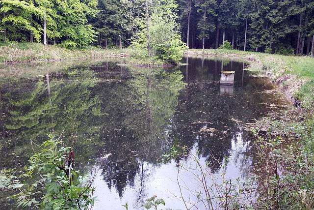 Rybník Pod Teslíny 2