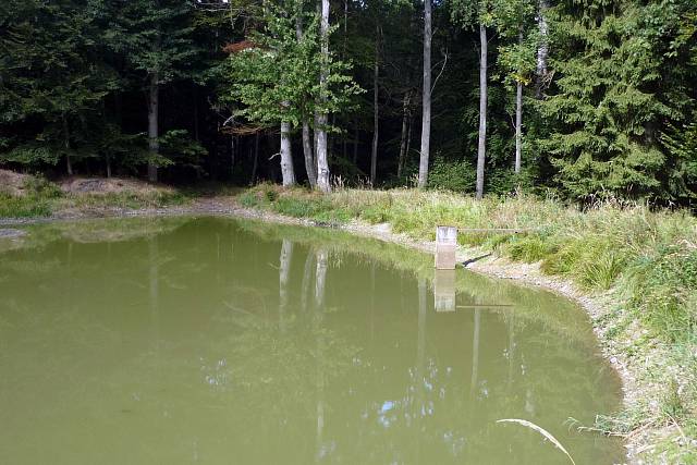 Rybník Pod Teslíny 1