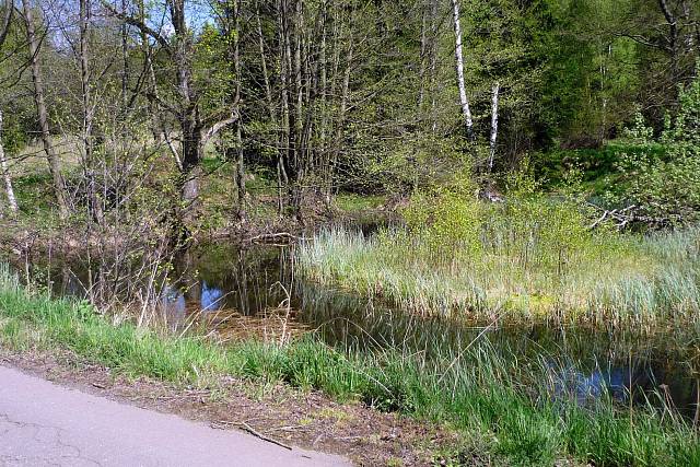 Rybníček v Zadní Záběhlé